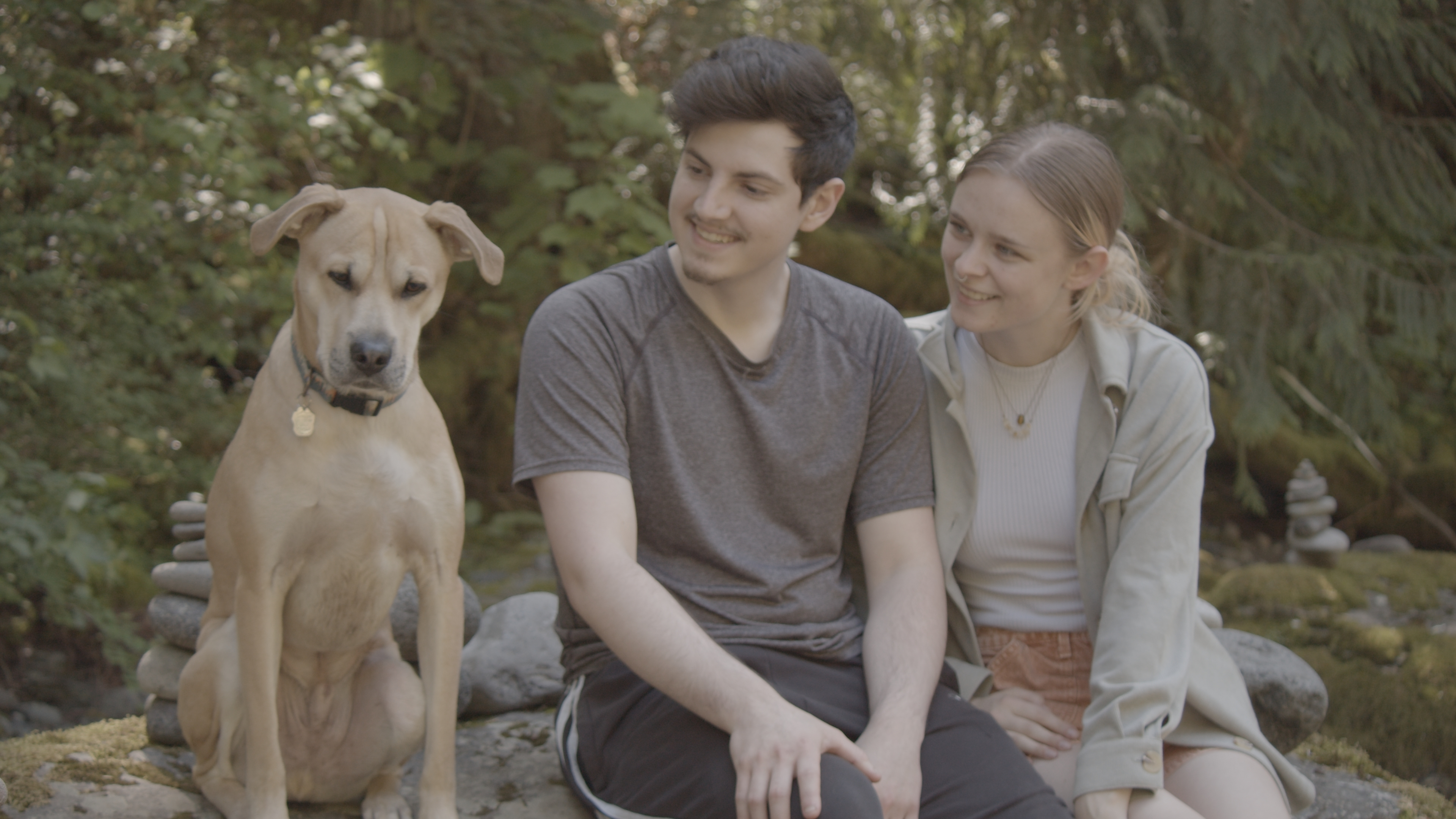 Camping Stills IV